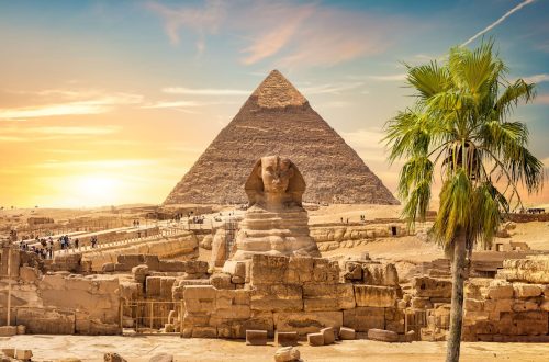 giza-pyramids-cairo-egypt-with-palm (1)